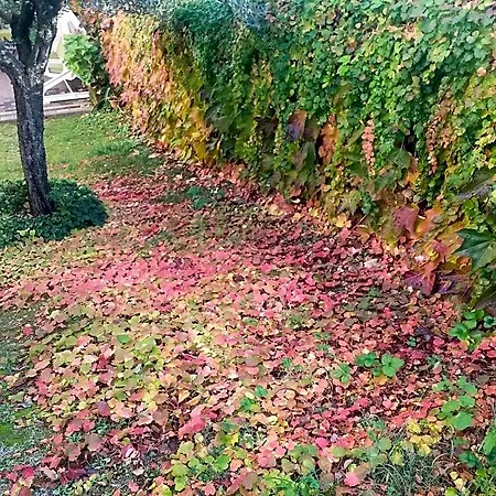 B&B le Villette Predappio-3